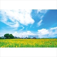 #いろは出版 季節ポストカード 日本の絶景ポストカード夏 定型サイズ 佐賀市ひょうたん島公園 JPC-78