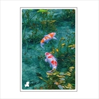 #いろは出版 季節ポストカード 日本の絶景ポストカード夏 定型サイズ 名もなき池 JPC-119