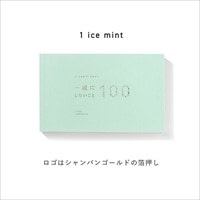 #いろは出版 プレゼントブック present book 一緒にしたいこと100 208ページ ice mint BI100-05