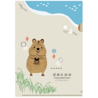 #木野瀬印刷クリアファイル･絶滅危惧種第3弾･知ってほしい仲間たち A5 クアッカワラビー ACF-02095