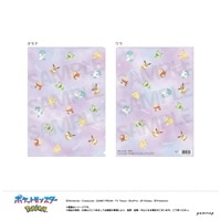 #ショウワノート(国内販売のみ） ファイリング用品 ポケモンクリアファイルＤ A4対応 ピカ＆イーブイ U9125G067