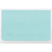 #レイメイ藤井 2027年度版 ダイアリー 27カードサイズダイアリー  グリーン 27RFD727M