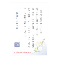 #エヌビー社 レター はがき･伝えるきもち  お悔やみ 5302823