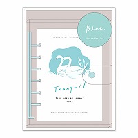 #マインドウエイブ  クリアバインダー･スライドリング Ａ６ ミント 58139