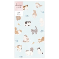 #エヌビー社 祝儀用品 のし袋･カジュアル お札折らないサイズ ミントキャッツ 2649118