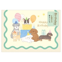 #エヌビー社 カード ミニカード･Mymood  グリーン 1345104