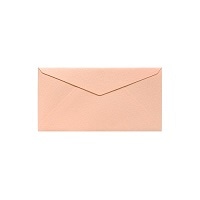 #竹尾 レター ペーパーパレット 洋6封筒 マーメイド･桜 1725887