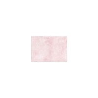 #竹尾 レター ペーパーパレット ハーフポストカード アトモス･ぼたん 1744814
