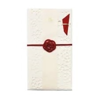 #クローズピン 祝儀用品 tomokoレースの祝儀袋  のどか KP16674