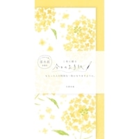 #古川紙工 レター 今日のお手紙  菜の花 LIK58