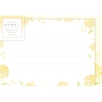 #古川紙工 レター お手紙美人  菜の花 LTB26