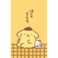 #古川紙工(国内販売のみ） 美濃和紙ぽち袋 2枚入 ポムポムプリンイエロー VP384