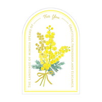 #チキュウグリーティングス レター エブリデイカード   C02-0005