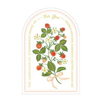 #チキュウグリーティングス レター エブリデイカード   C02-0006