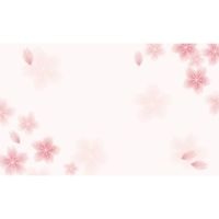 #ササガワ カード ショーカード 名刺サイズ 桜   16-1726