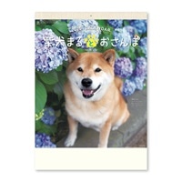 #新日本カレンダー(国内販売のみ） カレンダー 柴犬まるとおさんぽ（壁掛け） 壁掛け  8035