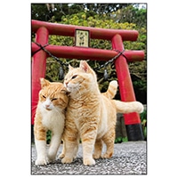 #アクティブコーポレーション カード ネコポストカード   L12-PB-558