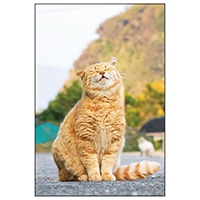 #アクティブコーポレーション カード ネコポストカード   L12-PB-560