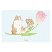 #アクティブコーポレーション カード mettybebeポストカード   L12-PPF-259