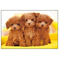 #アクティブコーポレーション カード イヌポストカード   L12-PN-611