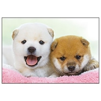 #アクティブコーポレーション カード イヌポストカード   L12-PN-612