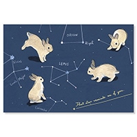 #アクティブコーポレーション カード ポストカード･森山しなこ  星座 M01-PPR-195