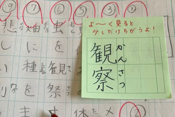 teacher